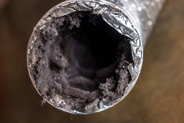Best Air Duct Cleaning Company Near Me  in Arcadia, SC