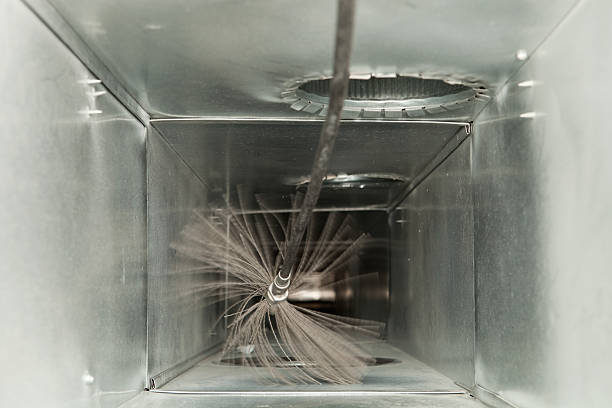 Best Professional Duct Cleaning Services  in Arcadia, SC